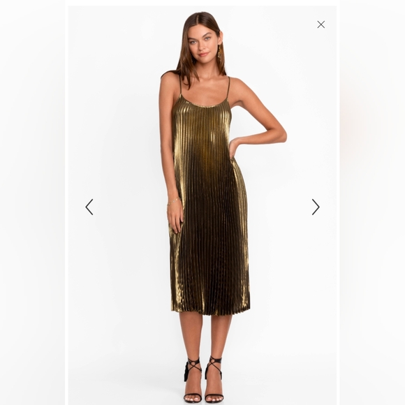 Johnny Was Golden Gem Pleated Midi Dress - Picture 4 of 14